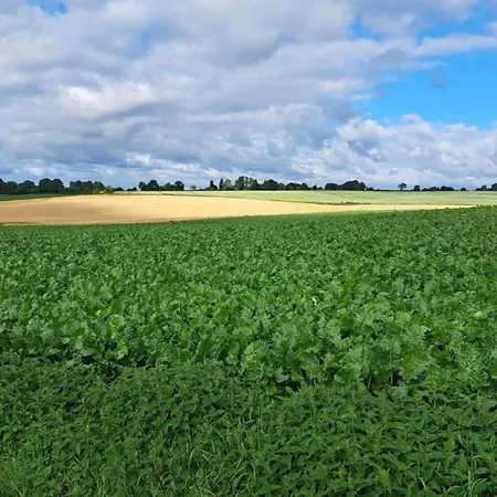 With Garden, Limburg Σπίτι διακοπών *