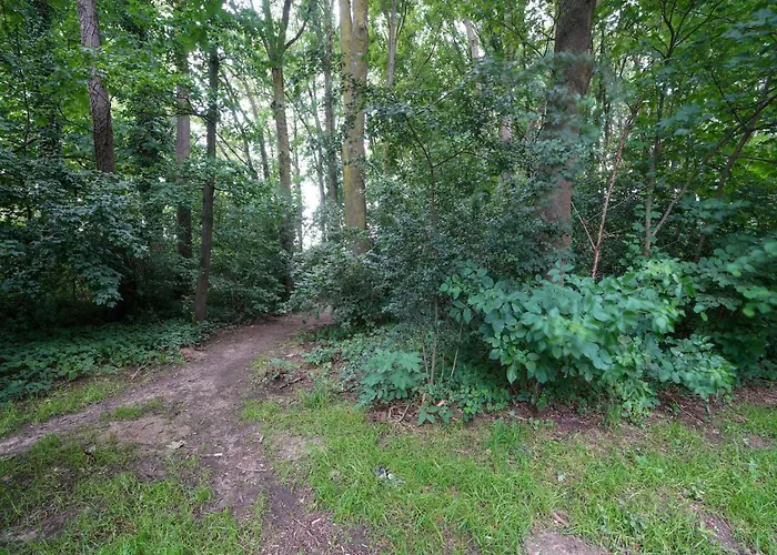 بيت للعطل With Garden, Limburg