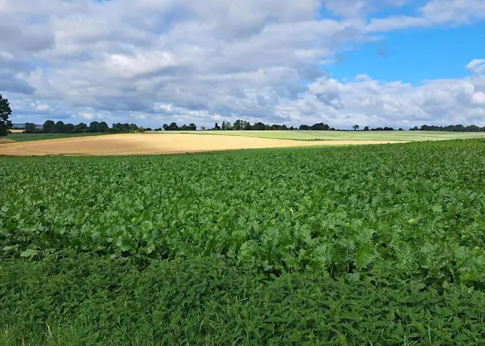 With Garden, Limburg Casa de Férias *