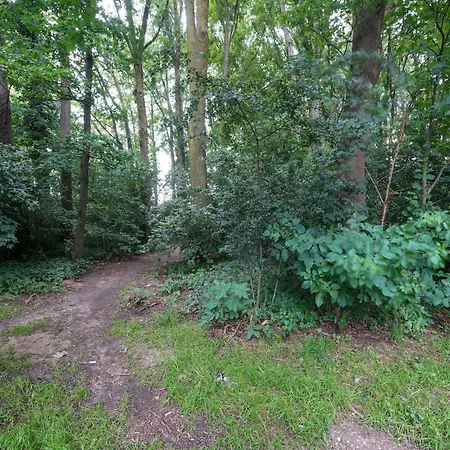 Сasa de vacaciones With Garden, Limburg